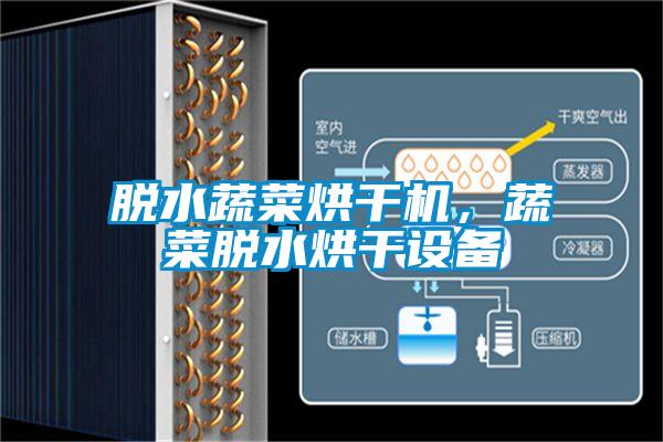 脫水蔬菜烘干機，蔬菜脫水烘干設備