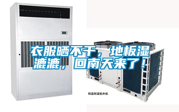 衣服曬不干，地板濕漉漉，回南天來(lái)了！