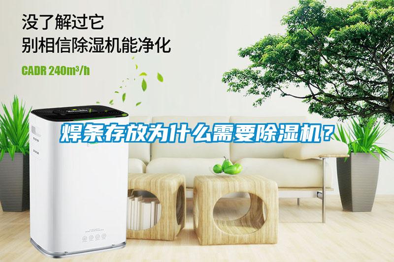 焊條存放為什么需要除濕機？