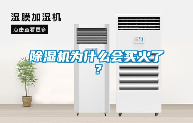 除濕機為什么會(huì )買(mǎi)火了？