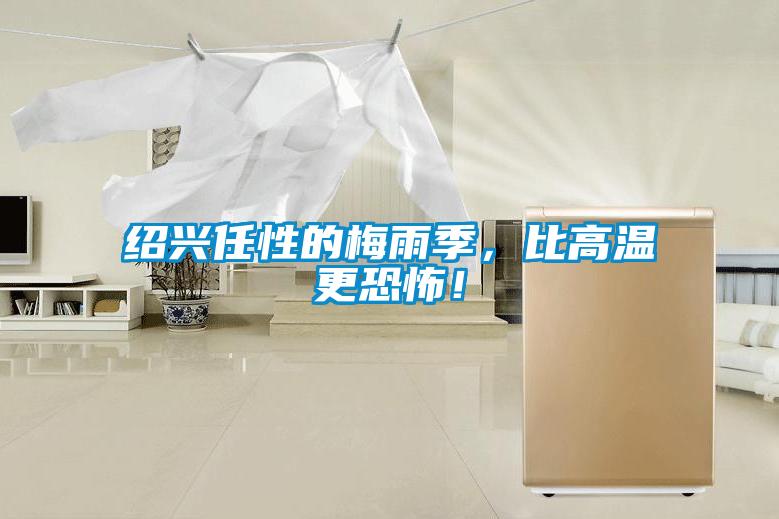 紹興任性的梅雨季，比高溫更恐怖！