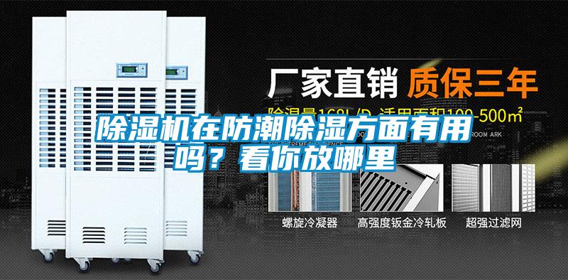 除濕機在防潮除濕方面有用嗎？看你放哪里