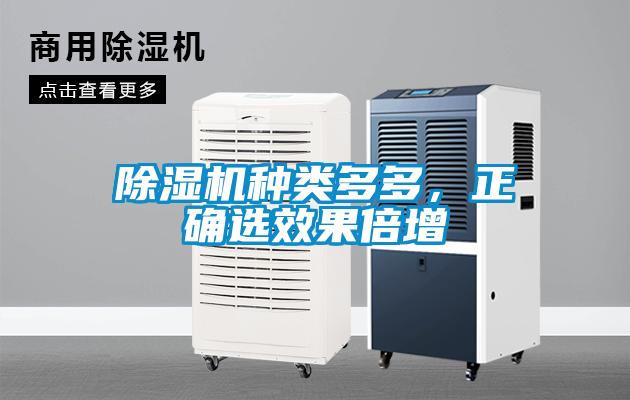 除濕機種類(lèi)多多，正確選效果倍增
