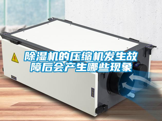 除濕機的壓縮機發(fā)生故障后會(huì )產(chǎn)生哪些現象