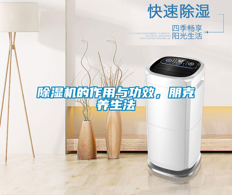 除濕機的作用與功效，朋克養生法
