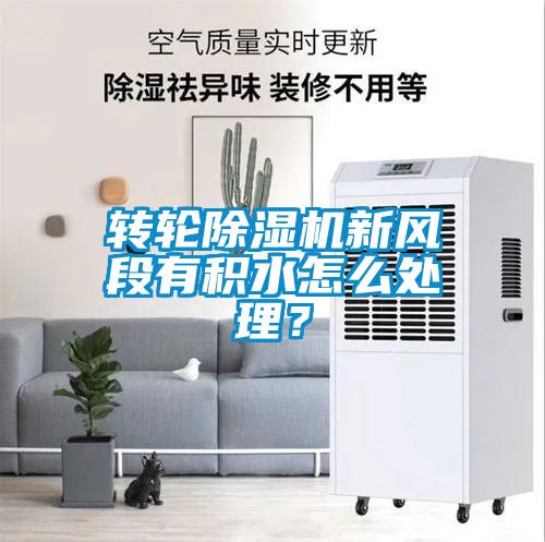 轉輪除濕機新風(fēng)段有積水怎么處理?