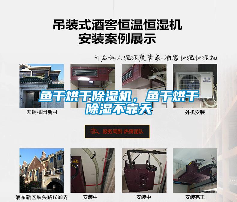 魚(yú)干烘干除濕機，魚(yú)干烘干除濕不靠天