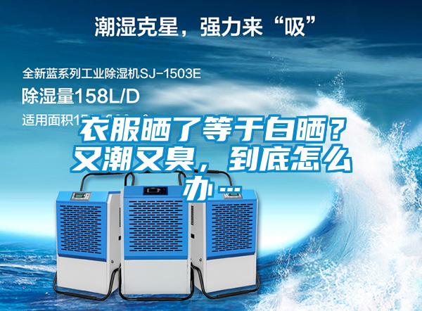 衣服曬了等于白曬？又潮又臭，到底怎么辦…