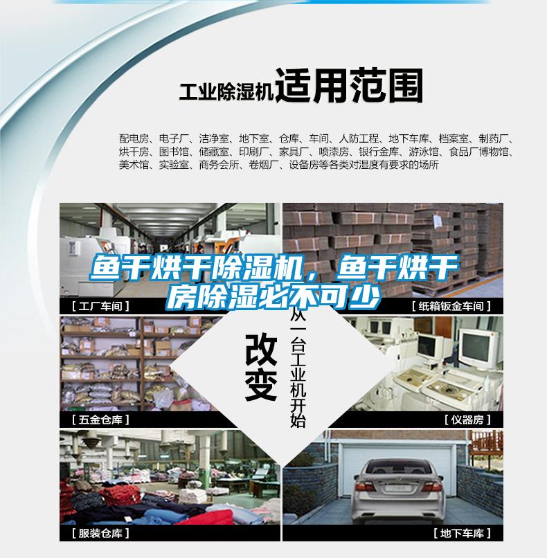 魚(yú)干烘干除濕機，魚(yú)干烘干房除濕必不可少