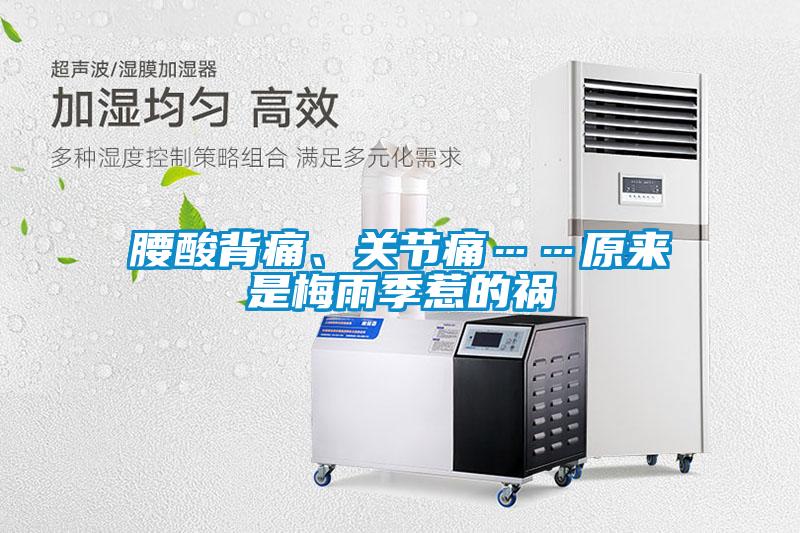 腰酸背痛、關(guān)節痛……原來(lái)是梅雨季惹的禍