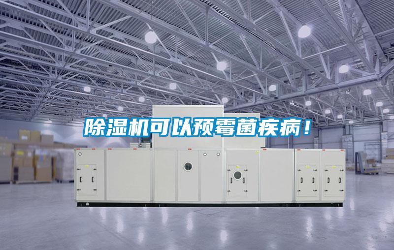 除濕機可以預霉菌疾??！