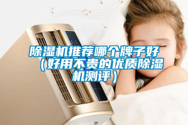 除濕機推薦哪個(gè)牌子好（好用不貴的優(yōu)質(zhì)除濕機測評）