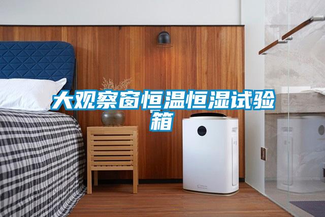 大觀(guān)察窗恒溫恒濕試驗箱
