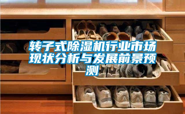 轉子式除濕機行業(yè)市場(chǎng)現狀分析與發(fā)展前景預測
