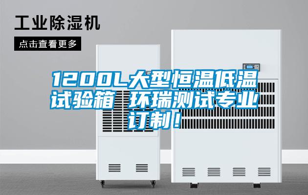 1200L大型恒溫低溫試驗箱 環(huán)瑞測試專(zhuān)業(yè)訂制！