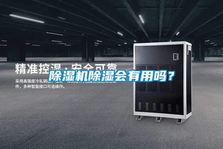 除濕機除濕會(huì )有用嗎？
