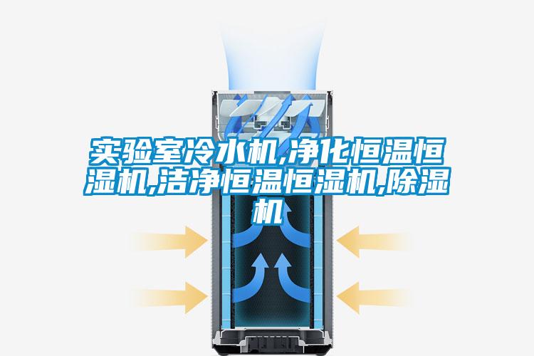 實(shí)驗室冷水機,凈化恒溫恒濕機,潔凈恒溫恒濕機,除濕機