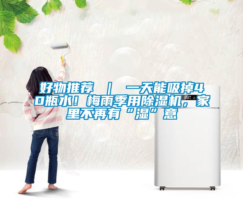好物推薦 ｜ 一天能吸掉40瓶水！梅雨季用除濕機，家里不再有“濕”意
