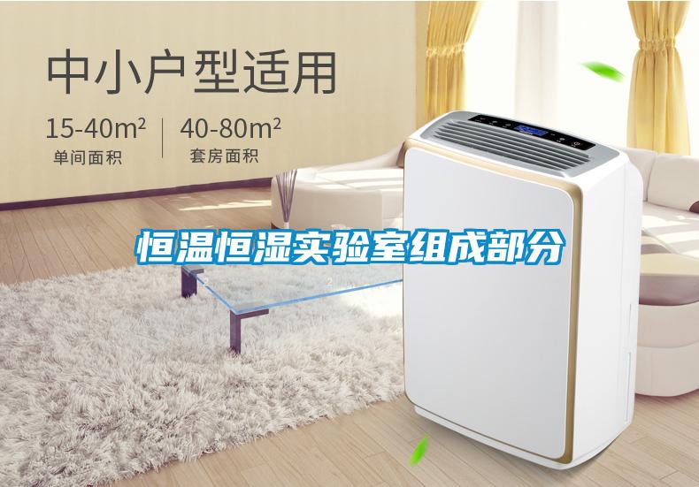 恒溫恒濕實(shí)驗室組成部分