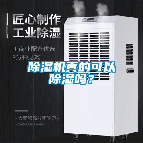 除濕機真的可以除濕嗎？