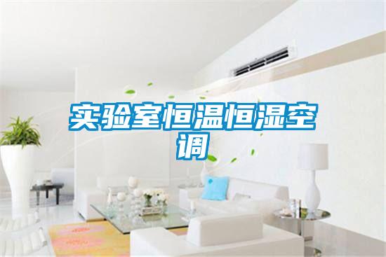 實(shí)驗室恒溫恒濕空調