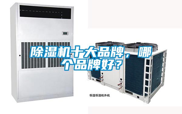 除濕機十大品牌，哪個(gè)品牌好？