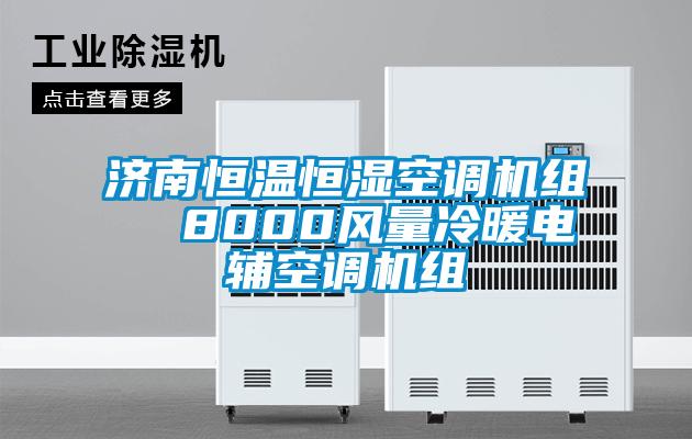 濟南恒溫恒濕空調機組  8000風(fēng)量冷暖電輔空調機組