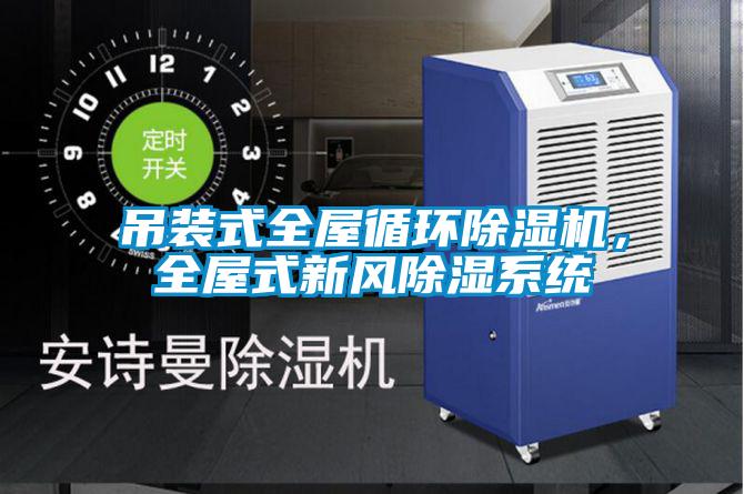 吊裝式全屋循環(huán)除濕機，全屋式新風(fēng)除濕系統
