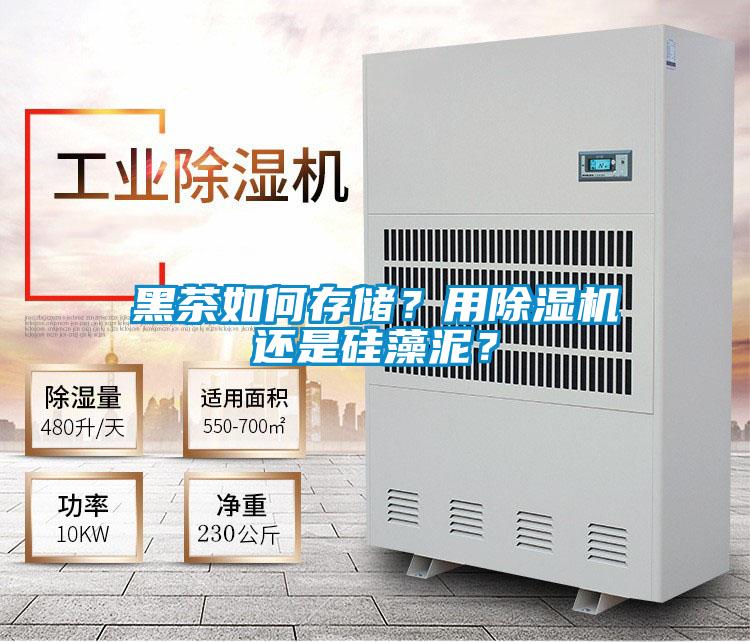 黑茶如何存儲？用除濕機還是硅藻泥？