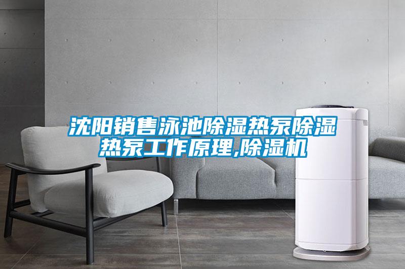 沈陽(yáng)銷(xiāo)售泳池除濕熱泵除濕熱泵工作原理,除濕機