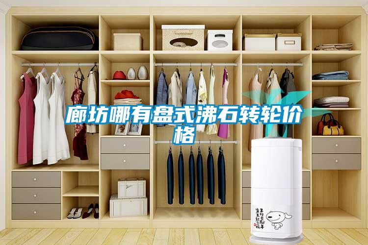 廊坊哪有盤(pán)式沸石轉輪價(jià)格