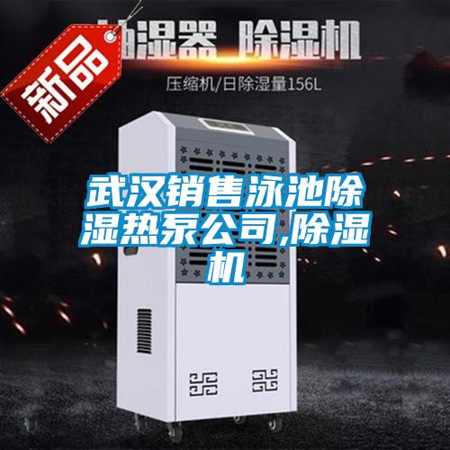 武漢銷(xiāo)售泳池除濕熱泵公司,除濕機