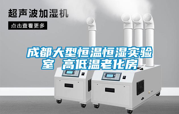 成都大型恒溫恒濕實(shí)驗室 高低溫老化房