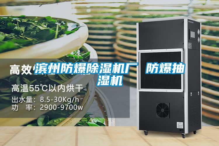 濱州防爆除濕機廠(chǎng) 防爆抽濕機