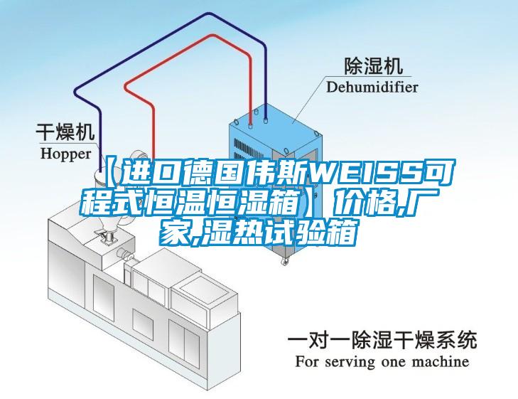 【進(jìn)口德國偉斯WEISS可程式恒溫恒濕箱】?jì)r(jià)格,廠(chǎng)家,濕熱試驗箱