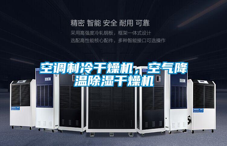 空調制冷干燥機，空氣降溫除濕干燥機