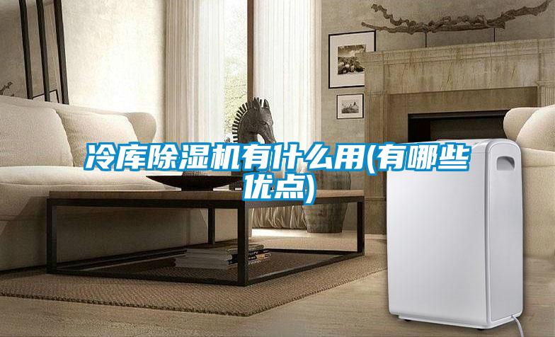 冷庫除濕機有什么用(有哪些優(yōu)點(diǎn))