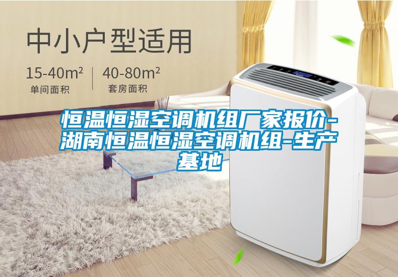 恒溫恒濕空調機組廠(chǎng)家報價(jià)-湖南恒溫恒濕空調機組-生產(chǎn)基地
