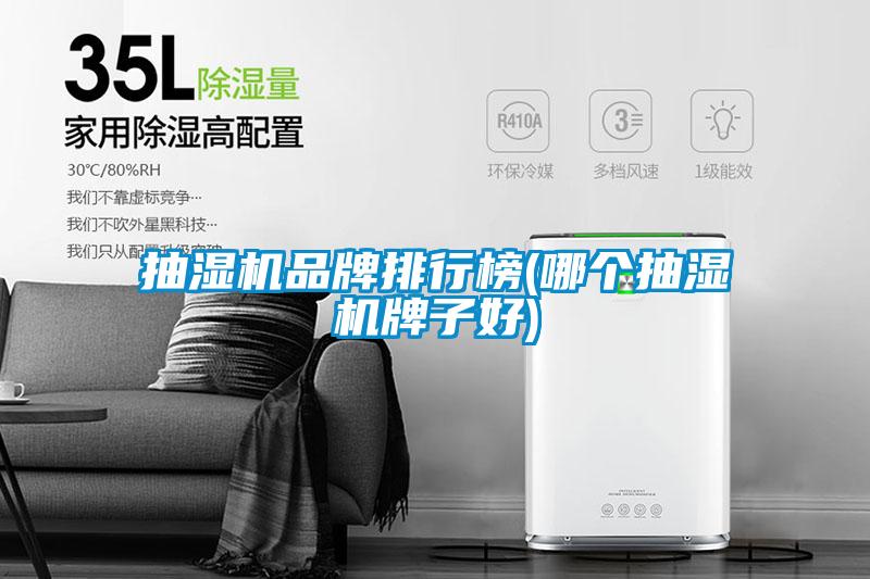 抽濕機品牌排行榜(哪個(gè)抽濕機牌子好)