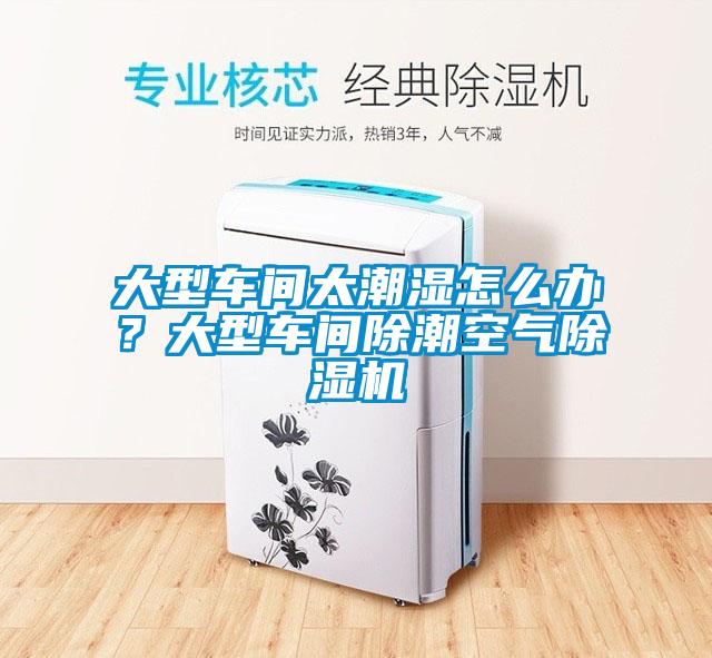 大型車(chē)間太潮濕怎么辦？大型車(chē)間除潮空氣除濕機