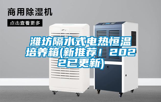 濰坊隔水式電熱恒溫培養箱(新推薦！2022已更新)