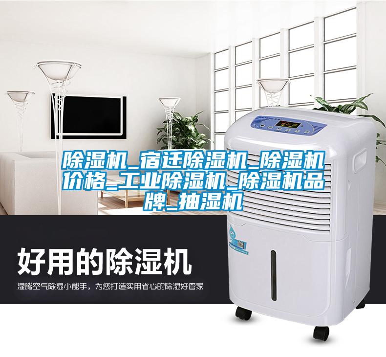 除濕機_宿遷除濕機_除濕機價(jià)格_工業(yè)除濕機_除濕機品牌_抽濕機