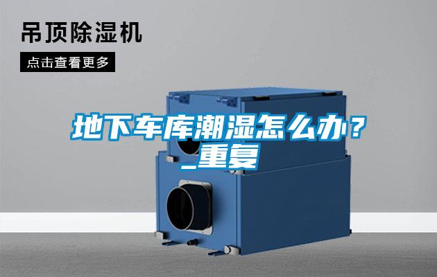 地下車(chē)庫潮濕怎么辦？_重復