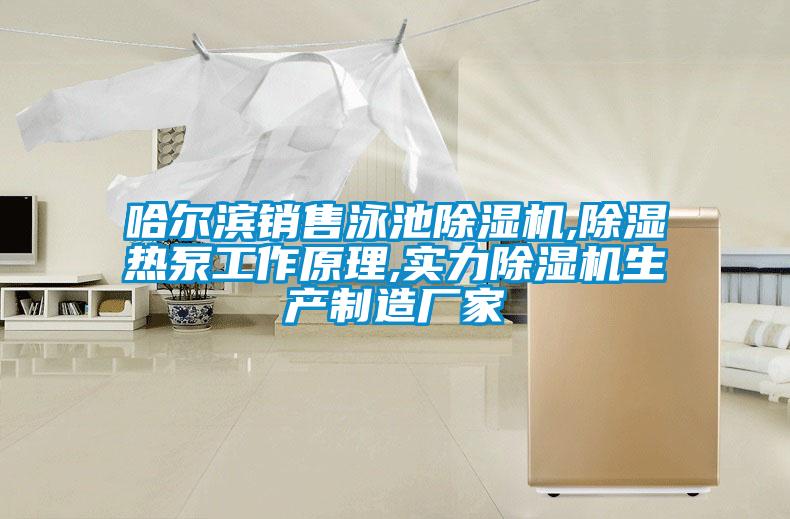 哈爾濱銷(xiāo)售泳池除濕機,除濕熱泵工作原理,實(shí)力除濕機生產(chǎn)制造廠(chǎng)家