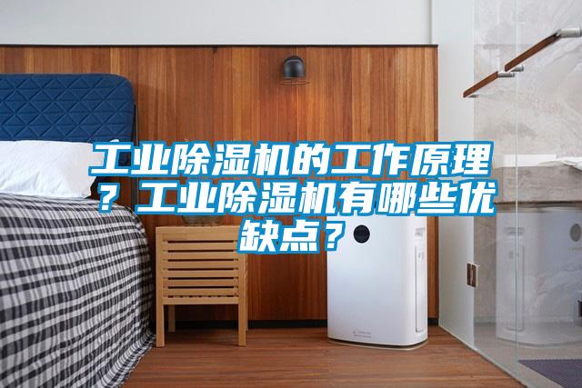 工業(yè)除濕機的工作原理？工業(yè)除濕機有哪些優(yōu)缺點(diǎn)？