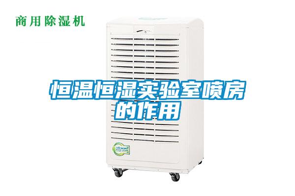 恒溫恒濕實(shí)驗室噴房的作用