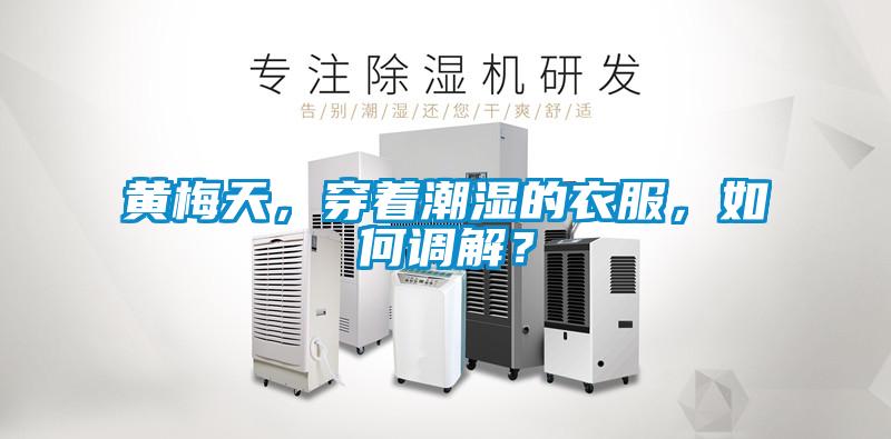 黃梅天，穿著(zhù)潮濕的衣服，如何調解？