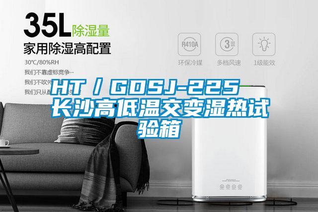 HT／GDSJ-225  長(cháng)沙高低溫交變濕熱試驗箱