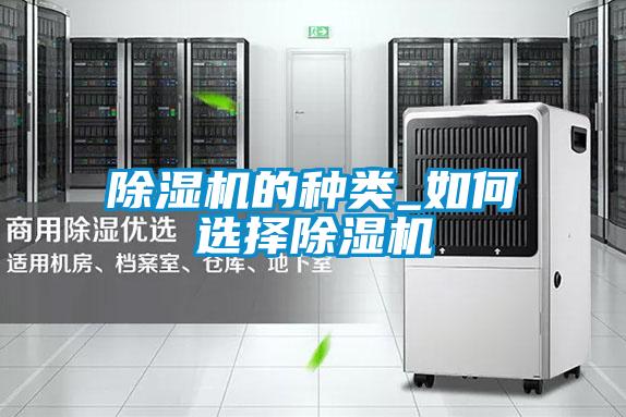 除濕機的種類(lèi)_如何選擇除濕機