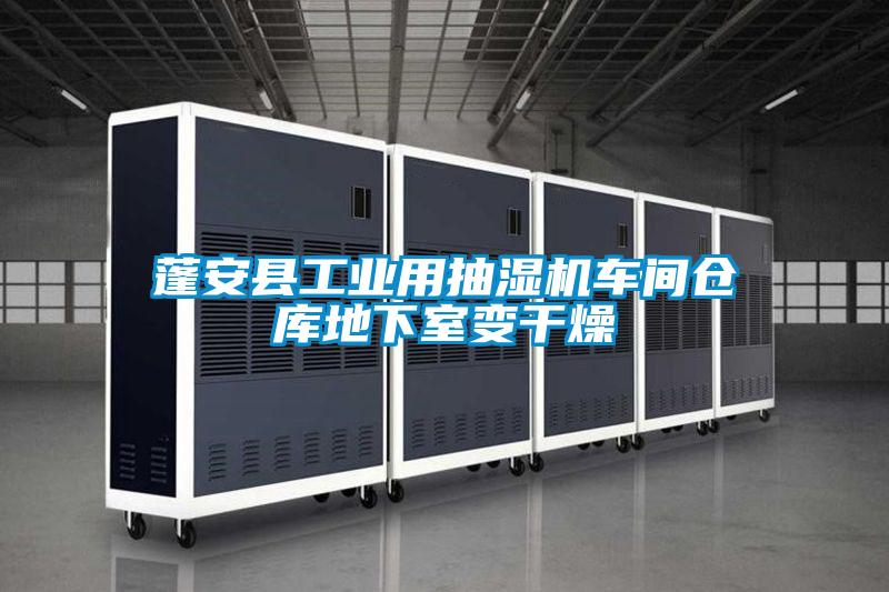 蓬安縣工業(yè)用抽濕機車(chē)間倉庫地下室變干燥